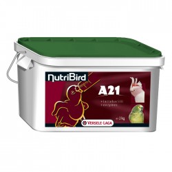 Offre Spéciale DLC - Nutribird A21 - 3 kg - Pâtée Élevage pour Perruches et Grandes Perruches